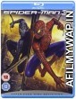Spider-Man 3 (2007) Hindi Dubbed Movie