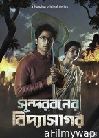 Sundarbaner Vidyasagar (2022) Season 1 Hindi Web Series