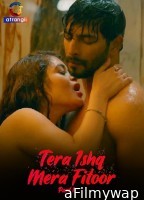 Tera Ishq Mera Fitoor (2024) Part 1 Atrangii Hindi Web Series