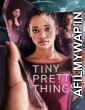 Tiny Pretty Things (2020) Hindi Dubbed Season 1 Complete Show